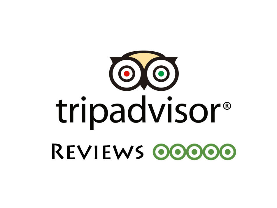Trip Advisor 高分评价